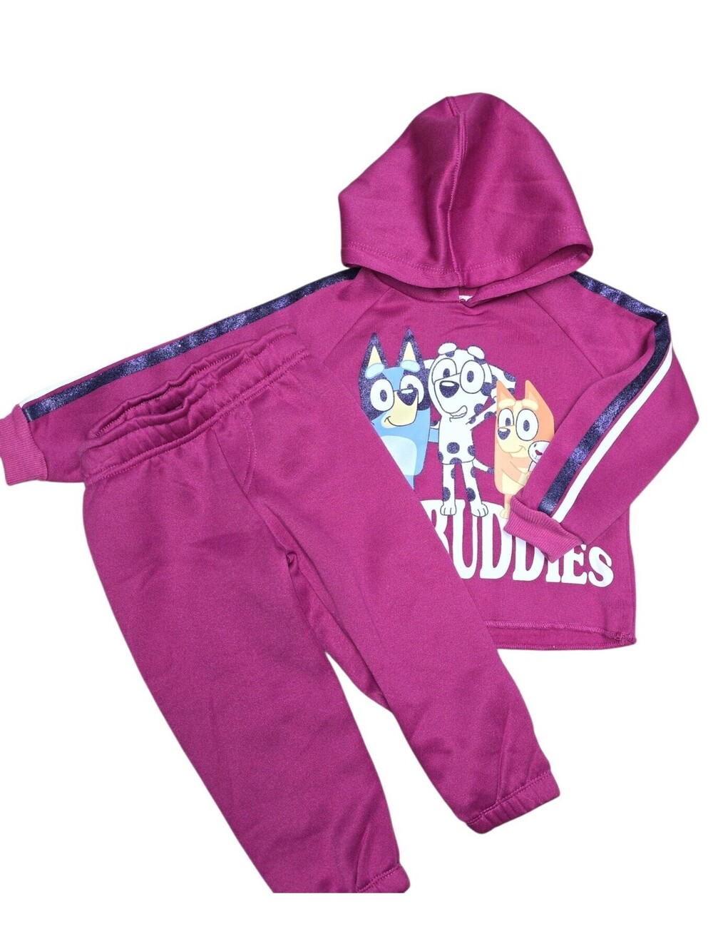 NWT Best Buddies Toddler Hoodie and Sweatpants Set 2T